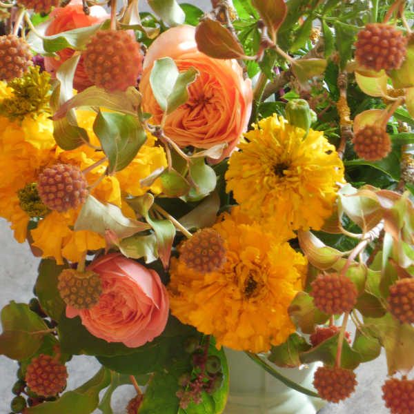 Arrangement of yellow marigolds and peach roses with brown seed pods in a pale vase