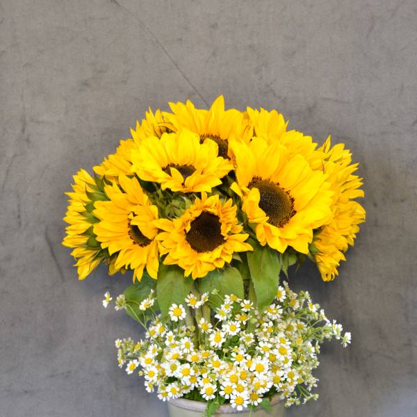 Sunny Sunflowers