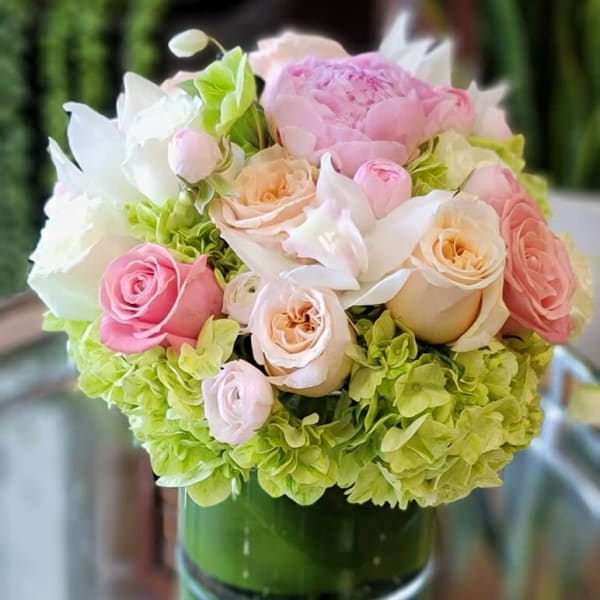 Pink and white roses arranged in a glass vase with green hydrangeas