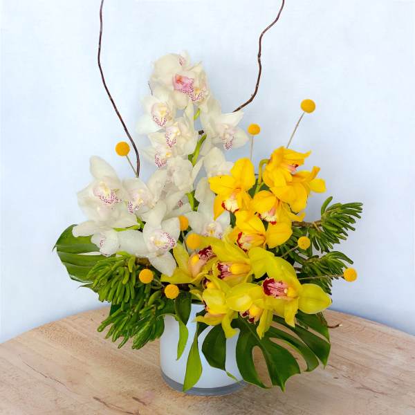 White and yellow orchid arrangement in a white vase