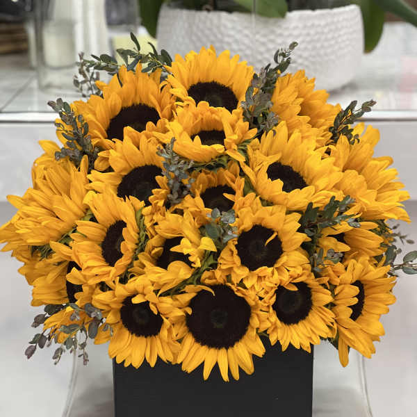 Bouquet of bright yellow sunflowers in a black box