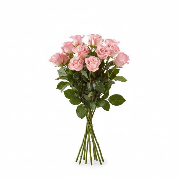 Bouquet of pale pink roses with long stems