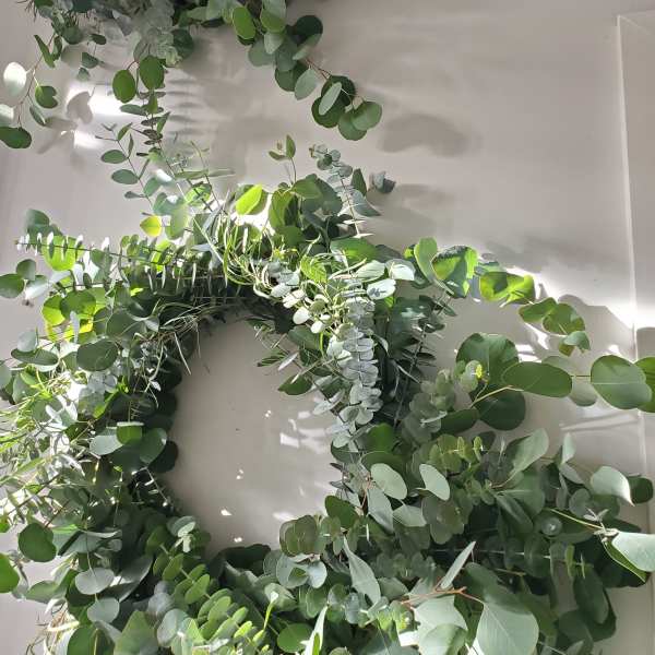 Pair of lush eucalyptus wreaths hanging on a light-colored wall