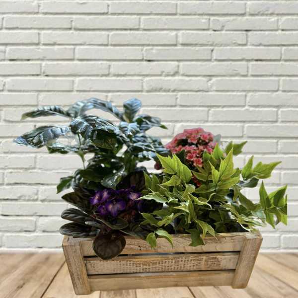 Mixed potted plants and small purple and pink flowers in a wooden planter box