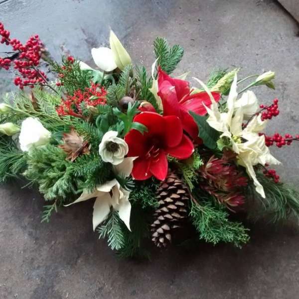 Low winter centerpiece with red amaryllis, white poinsettias, berries, and pinecones in dense evergreen foliage