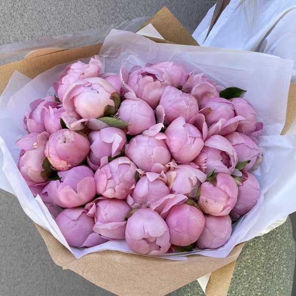 Bouquet of pink peonies wrapped in white and kraft paper