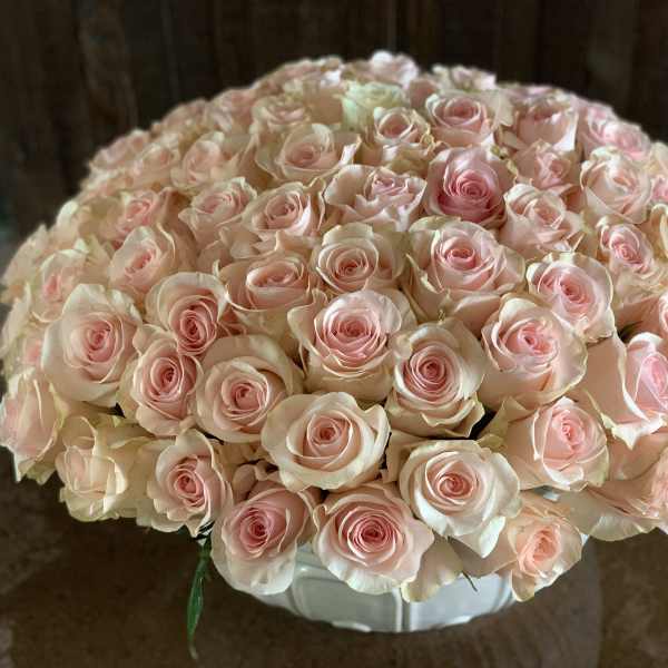 Large bouquet of pale pink roses in a white container