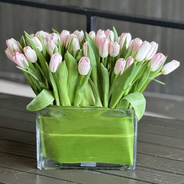 Pink and white tulips in a clear rectangular glass vase