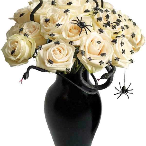 Cream roses in a black vase with decorative spiders and snakes