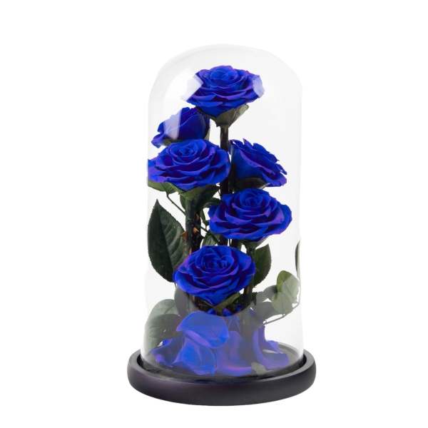 Blue roses under a glass dome on a black base