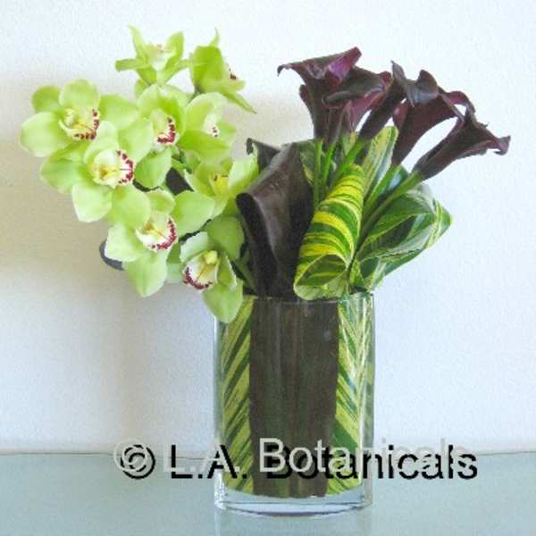 Arrangement of green orchids and dark calla lilies in a glass vase