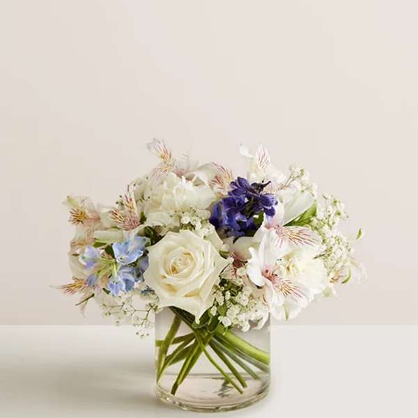 Loving Sentiments Blue & White