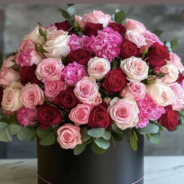 Harmony roses any colors