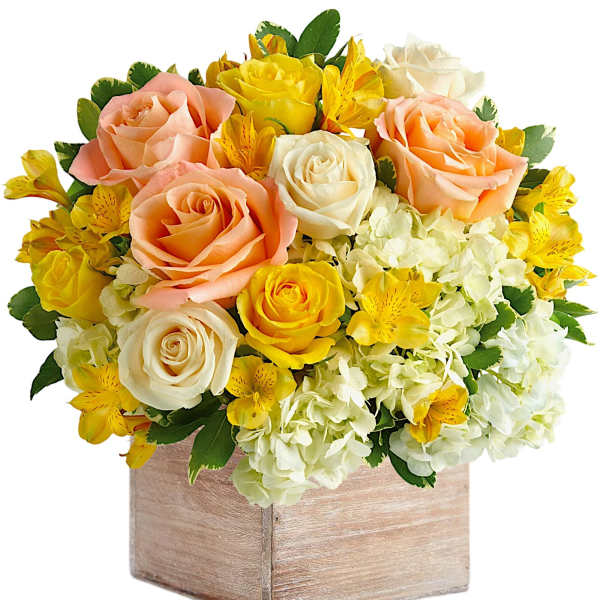 Peach, white, and yellow roses in a wooden box with white hydrangeas