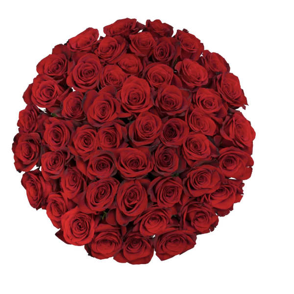 Tightly clustered bouquet of red roses viewed from above