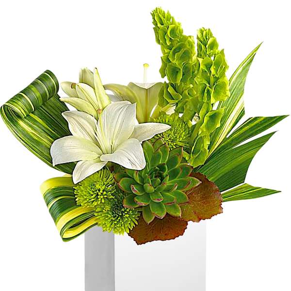 White lilies and green succulents in a white box with striped leaves