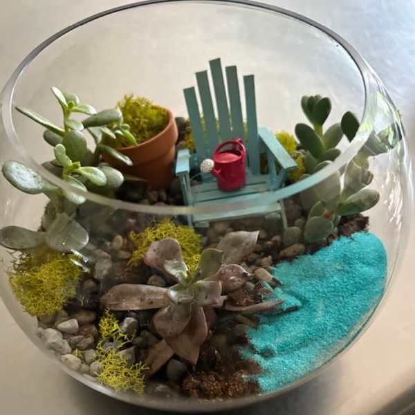 Succulent terrarium in a glass bowl with a tiny chair and watering can