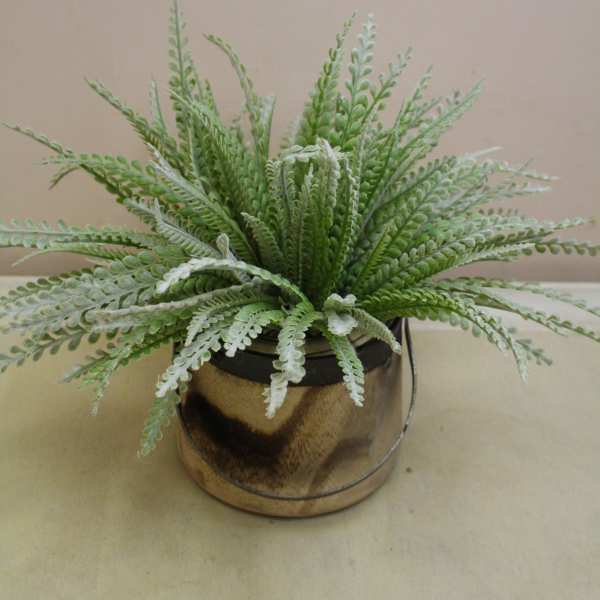 Potted green fern arrangement in a small metal container