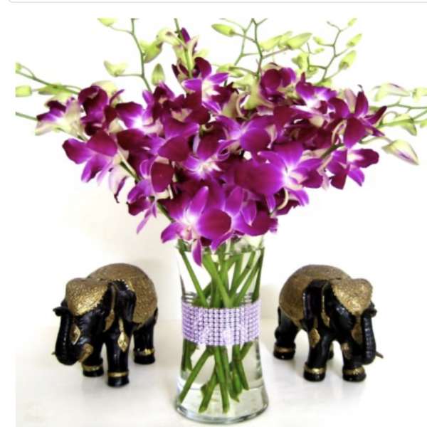 Purple orchids in a clear vase with two decorative elephant figurines