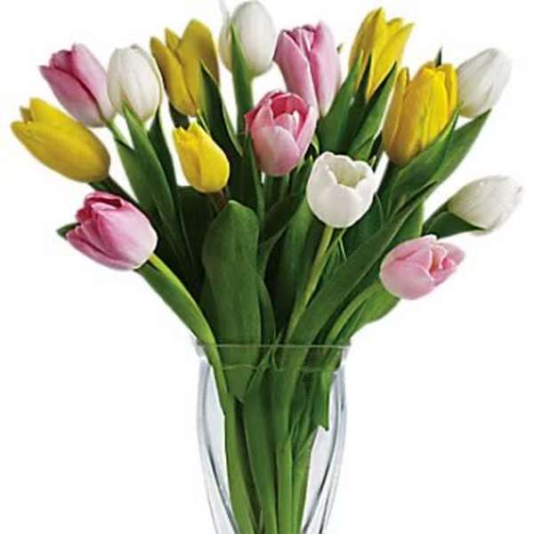 Bouquet of pink, yellow, and white tulips in a clear glass vase