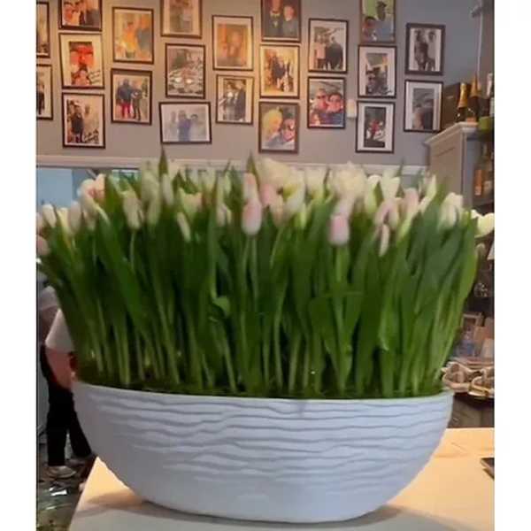 Large white bowl filled with pale tulips