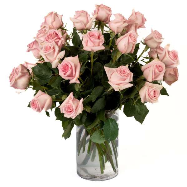 Large bouquet of light pink roses arranged in a clear glass cylinder vase