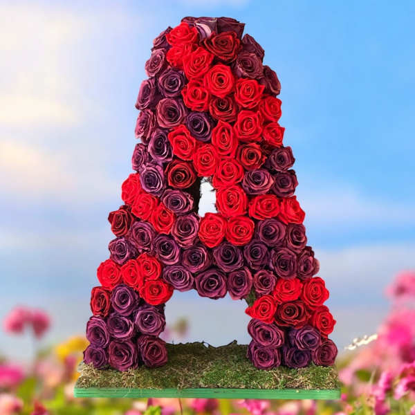 Large letter A covered in red and purple roses