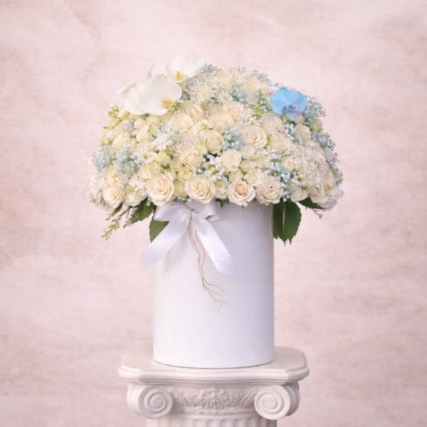Round arrangement of ivory spray roses with white and blue accents in a tall white cylinder box.