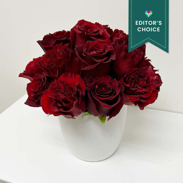 Red roses arranged in a white vase