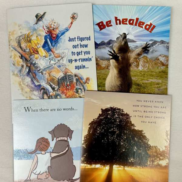 Leanin' Tree Get Well Cards