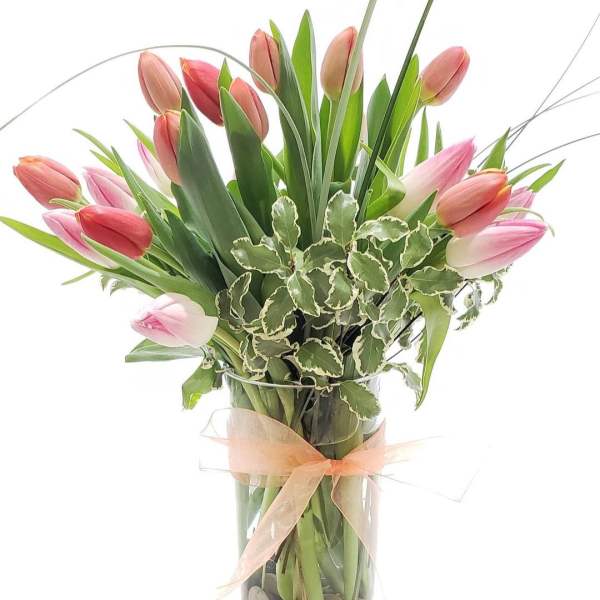 Pink tulips arranged in a tall glass vase with a ribbon