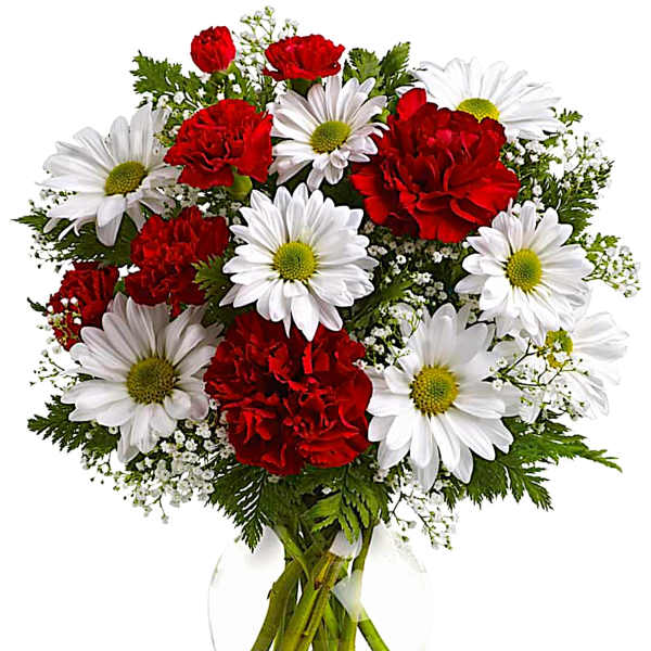 Bouquet of red carnations and white daisies in a clear glass vase