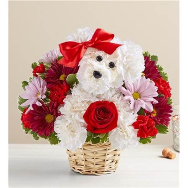 Flower arrangement shaped like a white dog with a red bow in a basket