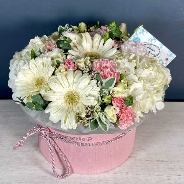 Gerberas