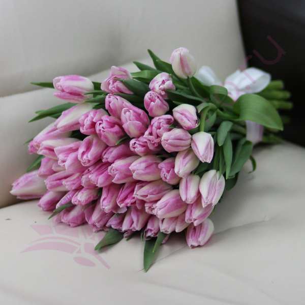Bouquet of pink tulips wrapped in paper