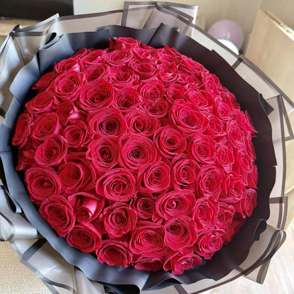 Scarlet Passion- Fiorato Sacramento, CA.