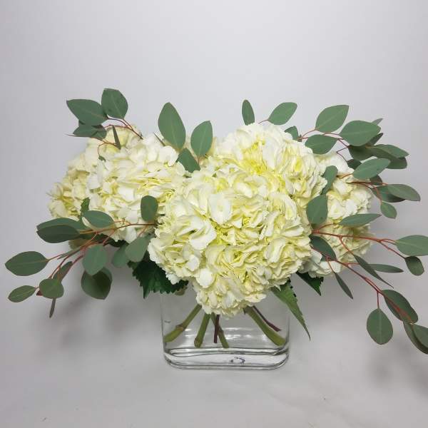 White hydrangea arrangement in a clear glass vase with eucalyptus
