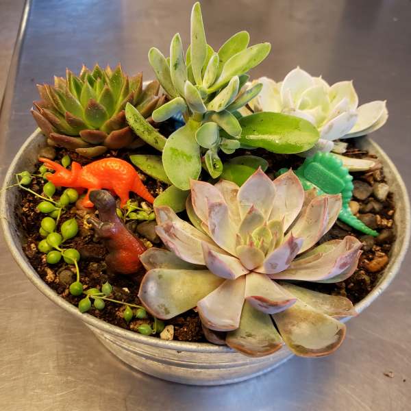 Succulent arrangement in a shallow metal bowl with small dinosaur figurines