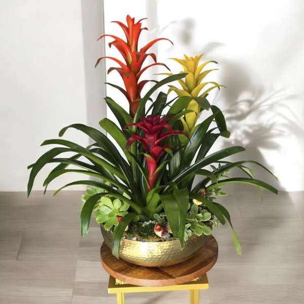 Tropical Oasis Planter 7001