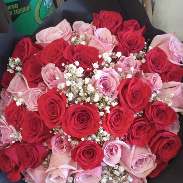 Bouquet of red and pink roses with white baby's breath