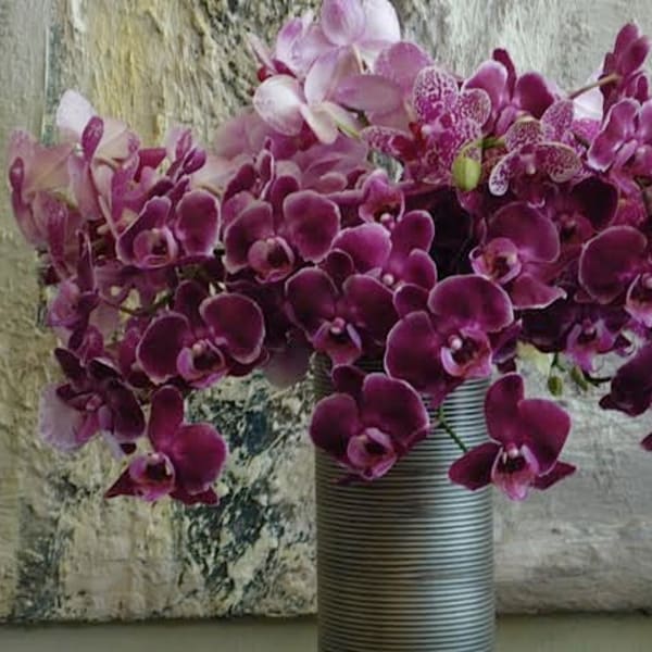 Purple orchids arranged in a striped vase