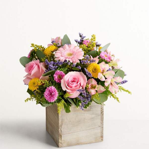 Spring Sentiment Medley