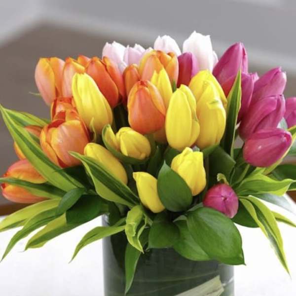 Colorful tulip bouquet in a clear glass vase