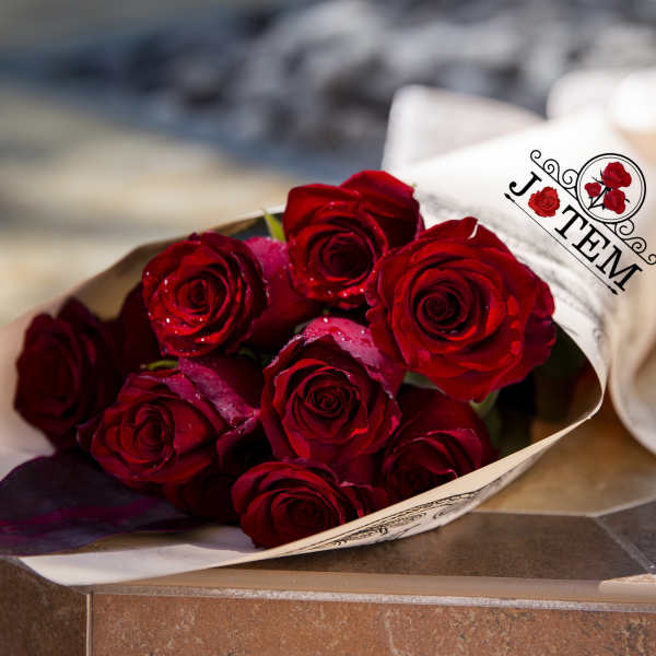 Bouquet of red roses wrapped in white paper