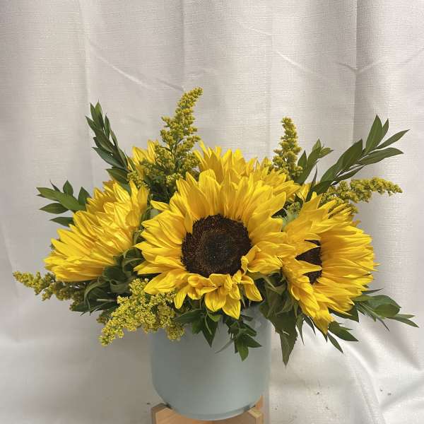 Sunflower arrangement in a pale blue vase on a wooden stand