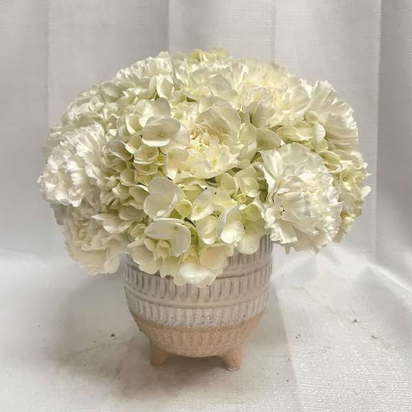 White hydrangea and carnation arrangement in a ceramic pot