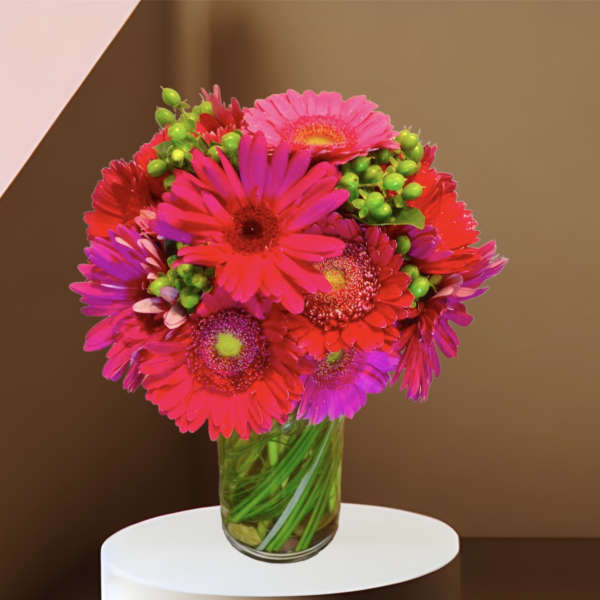 Bright pink and red gerbera daisies in a glass vase