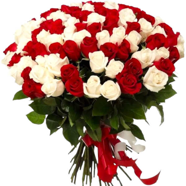 Bouquet of red and white roses with a red ribbon