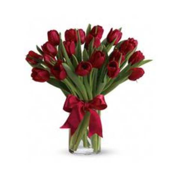 Bouquet of red tulips tied with a red ribbon