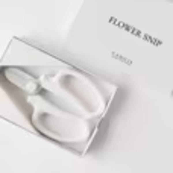 White flower-shaped earrings in a gift box
